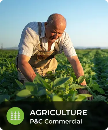 P&C Commercial_LineCarousel_Agri Older man kneeling on ground, looking at crops. Bottom menu says Agriculture, a P&C Commercial insurance line offered by Olivo.
