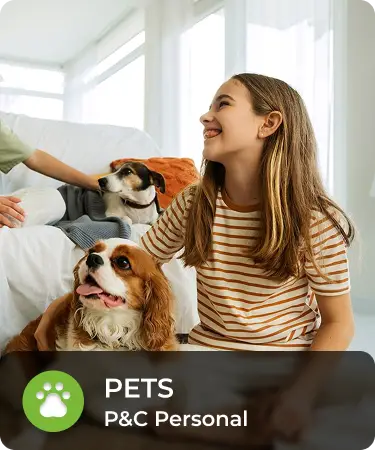 P&C Personal_LineCarousel_Pets Girl smiling at parents outside of the image while holding dog close. Bottom menu says Pets, a P&C personal insurance line offered by Olivo.