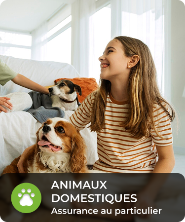 P&C Personal_LineCarousel_Pets Girl smiling at parents outside of the image while holding dog close. Bottom menu says Pets, a P&C personal insurance line offered by Olivo.